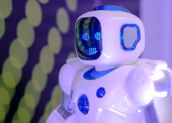 What to Search for in a Nice Buyer Service Chatbot