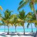 Getting began with Google’s PaLM API