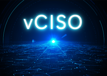Why a vCISO is a Should-Have in In the present day’s Digital Panorama