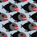 INTERPOL shutters ‘16shop’ phishing platform • The Register