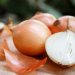 Tor tweaks onion routing software program to fend off DDoS assaults • The Register