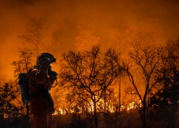 Rogers leverages AI and SpaceX expertise to combat wildfires in British Columbia