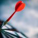 Dart language upgrade shines on Wasm, generative AI