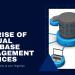 virtual assistant services, virtual assistant company Harnessing Efficiency and Security: The Rise of Virtual Database Management Services