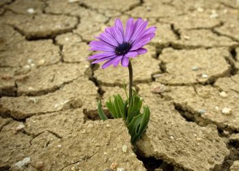 How to implement database connection resiliency in ASP.NET Core