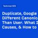 Duplicate, Google Chose Different Canonical Than User. What It Is, Causes, & How to Fix