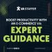 Boost Productivity with an E-commerce VA: Expert Guidance