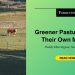 Even Greener Pastures Have Their Own Manure