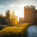 Streamlining human resources with an HR Virtual Assistant