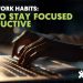 Remote Work Habits: How to Stay Focused & Productive | VA Staffer