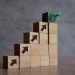 How to Build a Capability Framework That Enhances Business Performance