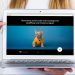 Build Professional Websites Without Coding or Paying More Than Once