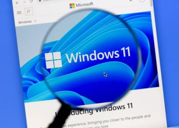 More devices set to receive Windows 11 24H2 • The Register