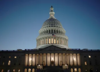 Policy pros push for more AI guardrails in 2025: survey