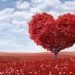 Six Ways to Make Your Customer Service Agents Love Their Jobs