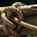 How to Build Customer Loyalty With Excellent Customer Service