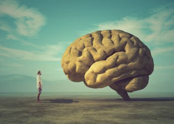 Boffins ponder meager brain data rate of 10 bits per second • The Register