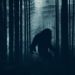 California bill aims to crown Bigfoot official state cryptid • The Register