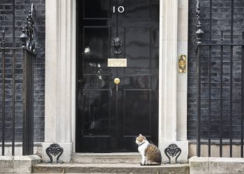 UK govt data people not techies, says ex-data science chief • The Register