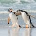 OpenInfra joins the Linux Foundation • The Register