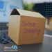 What Does Amazon Virtual Assistant Do?