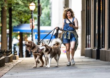 Top Side Hustle in Your City? Here’s the Fastest-Growing Gig