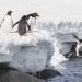 Three ways to run Windows apps on a Linux box • The Register