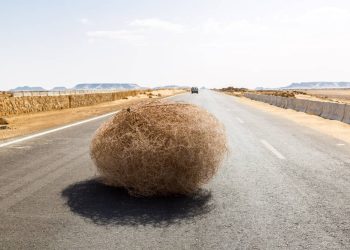 AI search finds publishers starved of referral traffic • The Register