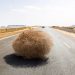 AI search finds publishers starved of referral traffic • The Register