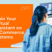Empower Your VA to Manage Your E-Commerce Systems