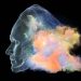 Humans outperform AI models for brand safety, but cost more • The Register