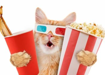 Pop!_OS 24.04 beta and COSMIC beta arrive • The Register