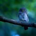 Meta convinces Blue Owl to cut $30B check for Hyperion DC • The Register