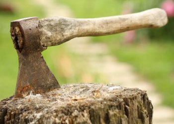 Microsoft sharpens blocking axe for Exchange Web Services • The Register