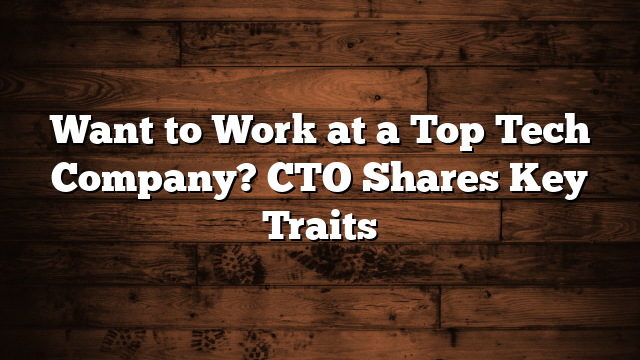Want to Work at a Top Tech Company? CTO Shares Key Traits