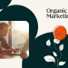 Why paid ads aren’t the only answer