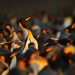 Open source package repositories face sustainability crisis • The Register