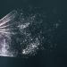 Tokenmaxxing isn’t an AI strategy • The Register