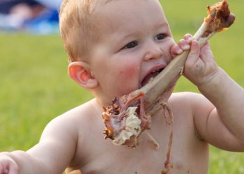 Google is cannibalizing the web to feed AI