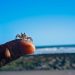 AI customers are coming around to the idea that small is beautiful