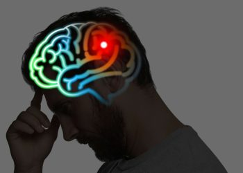 AI models get convenient amnesia about source material as they grow, MIT boffins find