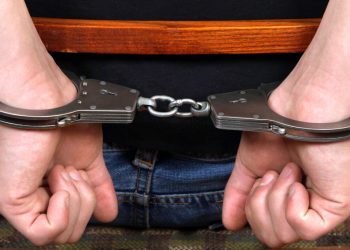 Anthropic reveals fourth likely crime committed by its AI