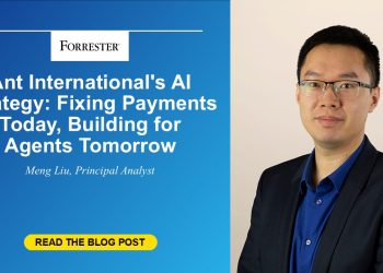 Fixing Payments Today, Building for Agents Tomorrow