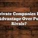 Do Private Companies Have an Advantage Over Public Rivals?